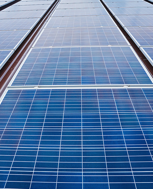 A large series of solar panels
